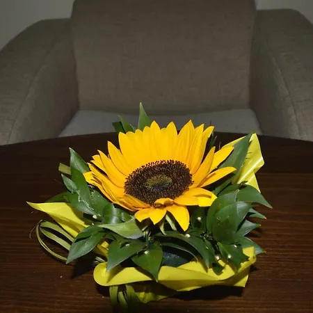 Guest house & Mountain Romance 3*